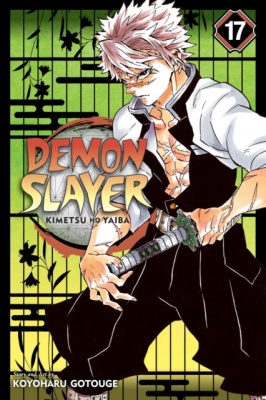 Demon Slayer: Kimetsu no Yaiba, Volume 17 (Manga)