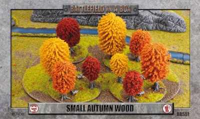 Small Autumn Wood