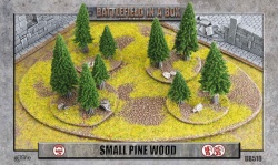 Small Pine Wood